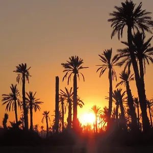 https://la-rose-des-sables.marrakeshhotelsmorocco.com